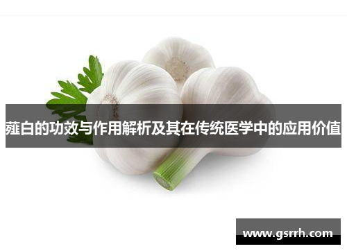 薤白的功效与作用解析及其在传统医学中的应用价值