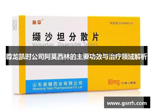 尊龙凯时公司阿莫西林的主要功效与治疗领域解析