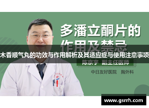 木香顺气丸的功效与作用解析及其适应症与使用注意事项